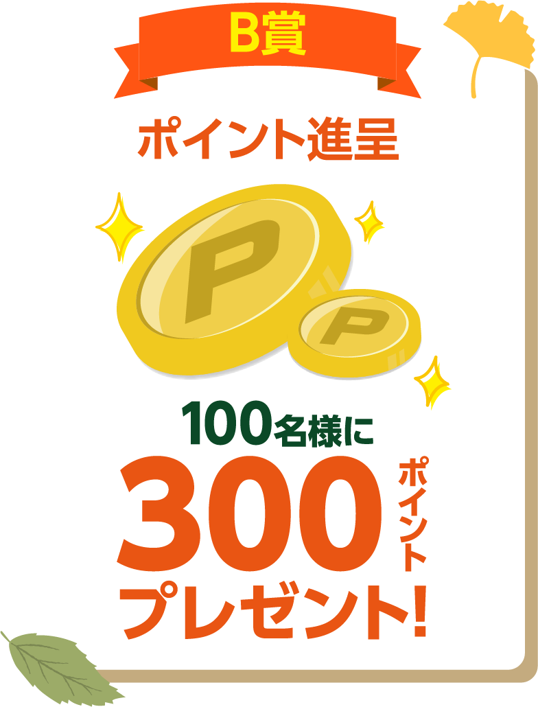 B賞 ポイント進呈　100名様に300ポイントプレゼント！