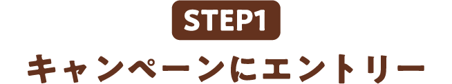 STEP1 キャンペーンにエントリー