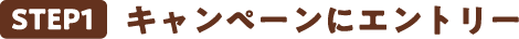 STEP1 キャンペーンにエントリー