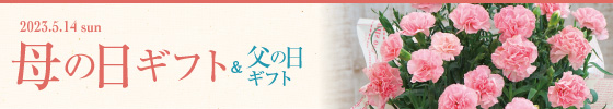 ギフト