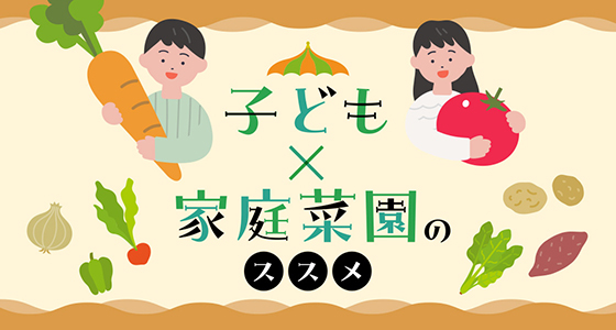 フリー