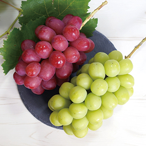 長野県産　ぶどう2種詰合せ