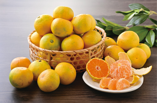 ゆら早生みかん